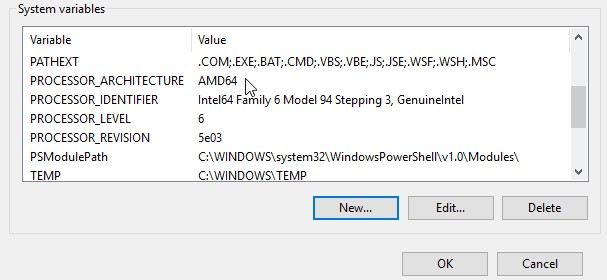 Creating new environment variable